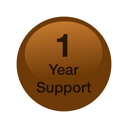 1 Year Support